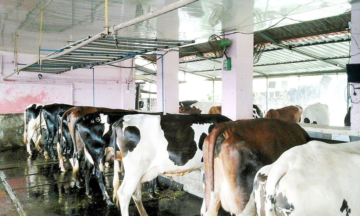 പാല്‍ക്കുടം വറ്റിക്കും ഈ പെരുംചൂട്